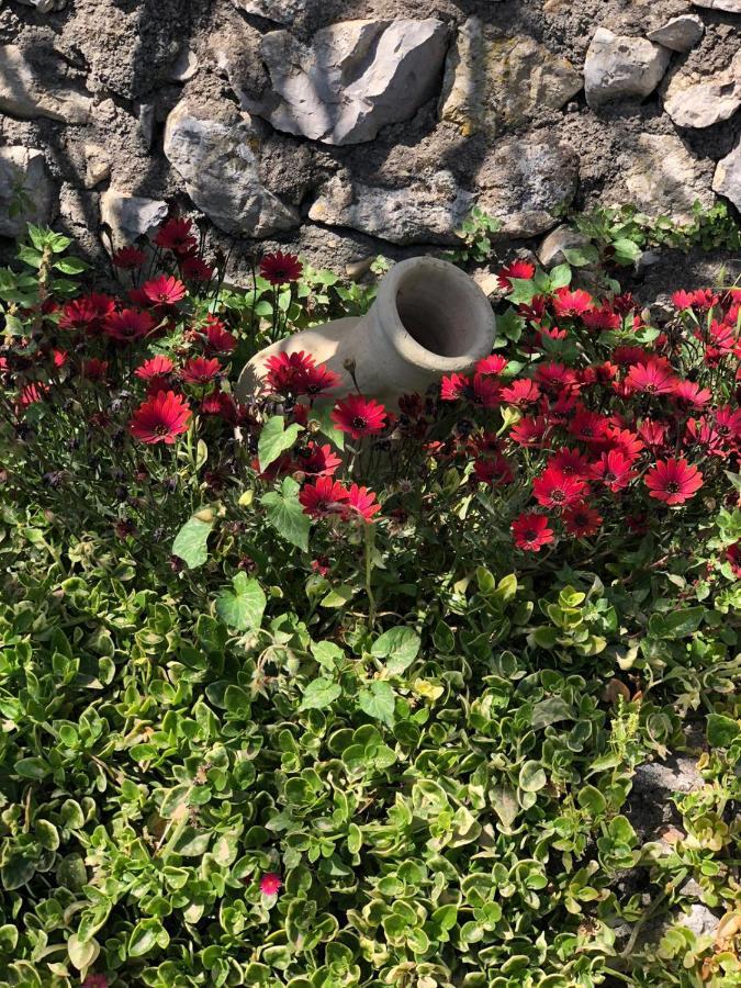 Villa Johnny And Mary'S House Breathtaking View Taormina Buitenkant foto