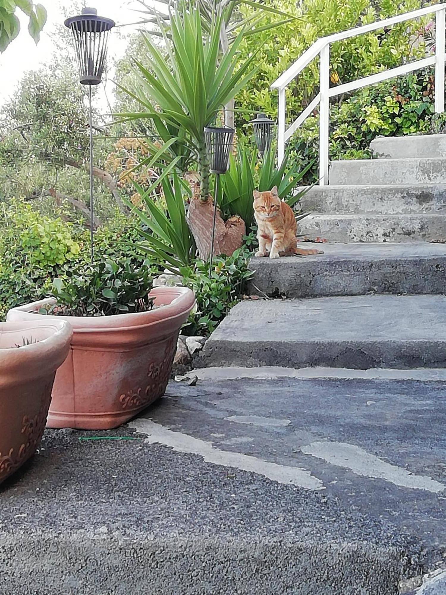 Villa Johnny And Mary'S House Breathtaking View Taormina Kamer foto